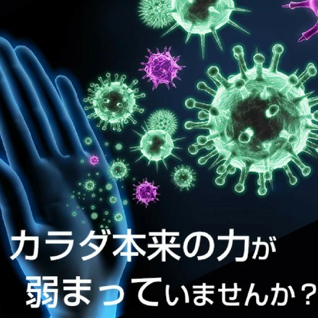 ラクトフェリン ダイエット 健康 約1か月分 C-302 リプサ コスメ/美容のダイエット(ダイエット食品)の商品写真