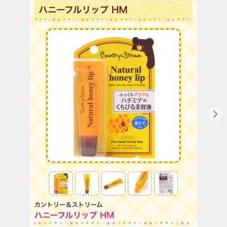 バーツビーズ(BURT'S BEES)のハニーフルリップ 【新品】(リップケア/リップクリーム)