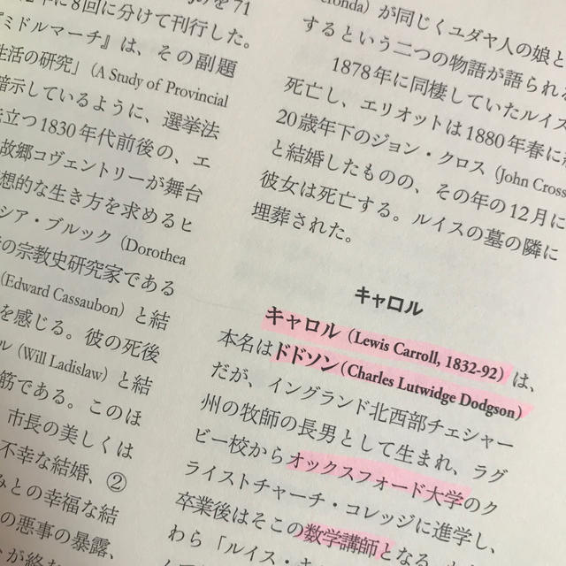 読んで愉しむイギリス文学史入門 エンタメ/ホビーの本(文学/小説)の商品写真