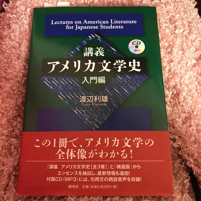 講義アメリカ文学史 入門編 エンタメ/ホビーの本(文学/小説)の商品写真