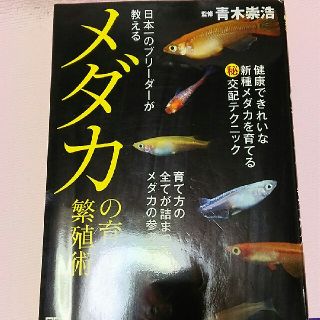  専用⚠  日本一のブリ－ダ－が教えるメダカの育て方と繁殖術(住まい/暮らし/子育て)