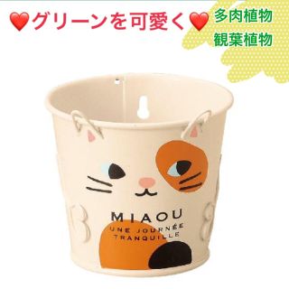 キャットブリキ S 猫 ブリキ鉢 ネコ雑貨 三毛猫 多肉植物 観葉植物に(プランター)