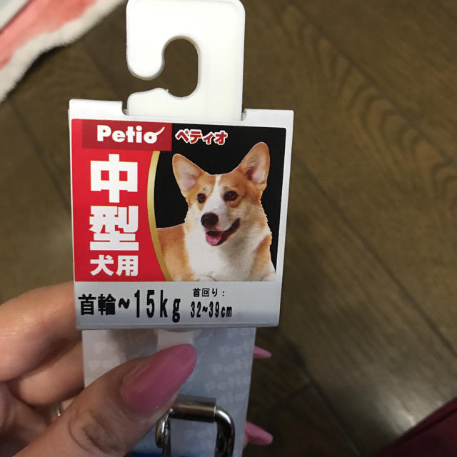 中型犬用 首輪 ハンドメイドのペット(リード/首輪)の商品写真