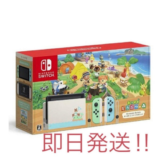 Nintendo Switch あつまれ どうぶつの森セット