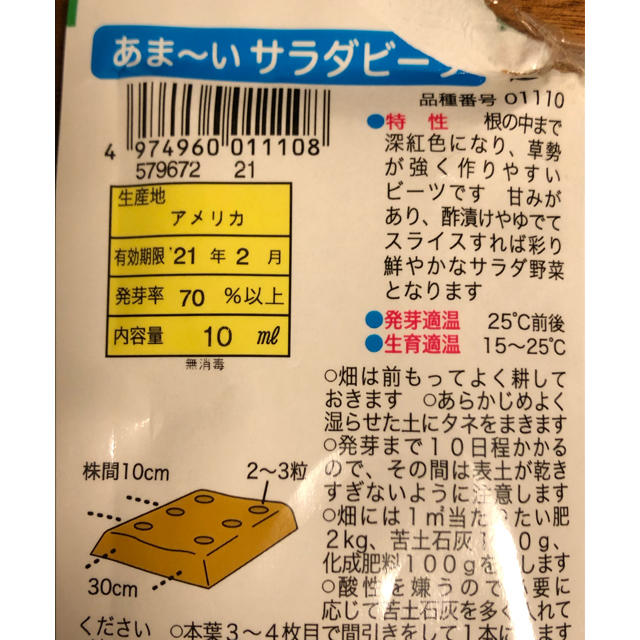 あま〜い　サラダビーツ種子　2g ハンドメイドのフラワー/ガーデン(その他)の商品写真