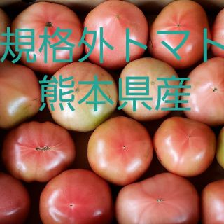 規格外トマト　熊本県産　四キロ入り(野菜)