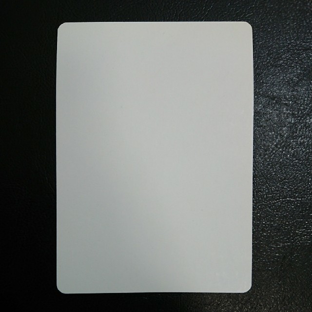 マジック：ザ・ギャザリング(マジックザギャザリング)の再帰 スターター1999版 サイン入りアーティストプルーフ エンタメ/ホビーのトレーディングカード(シングルカード)の商品写真