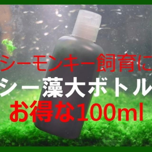 直売純正品 春先飼いシーモンキー アルテミア おばけえび 餌やり不要 シー藻 超お得大ボトル 直売販売品 その他 ペット用品 Brokenlanterntattoo Com