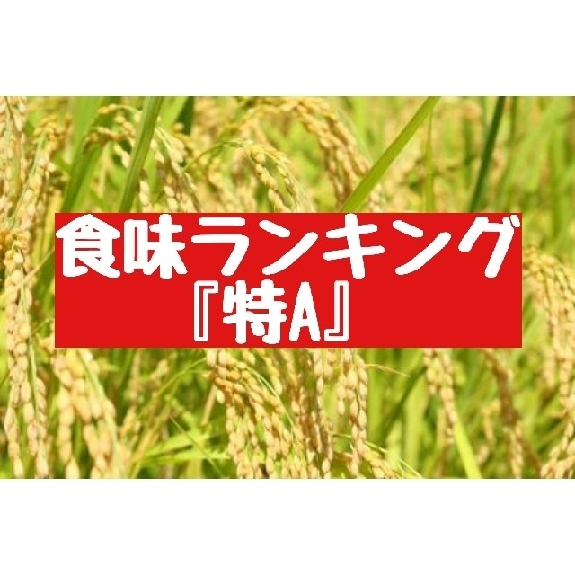 農家直送❗新潟県産こしひかり玄米20㎏(令和元年産)