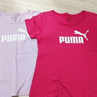 プーマ(PUMA)のPUMA　Tｼｬﾂ(Tシャツ/カットソー)