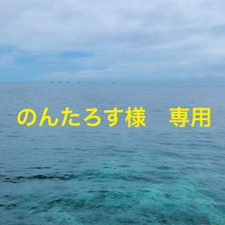 ★値下げしました★ 乗用ラジコンカー　ミニポルシェ　クラッシックホワイト(ホビーラジコン)