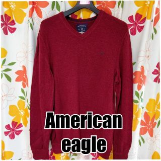 アメリカンイーグル(American Eagle)のAmerican Eagle/アメリカンイーグル/ニット、セーター(ニット/セーター)