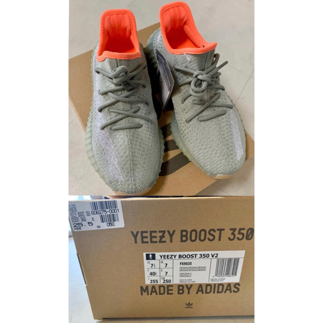 adidas(アディダス)の25.5cm アディダス オリジナルス YEEZY BOOST 350 V2 メンズの靴/シューズ(スニーカー)の商品写真