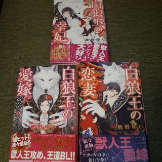 白狼王の幸妃 白狼王の恋妻 白狼王の愛嫁 3冊セット(ボーイズラブ(BL))