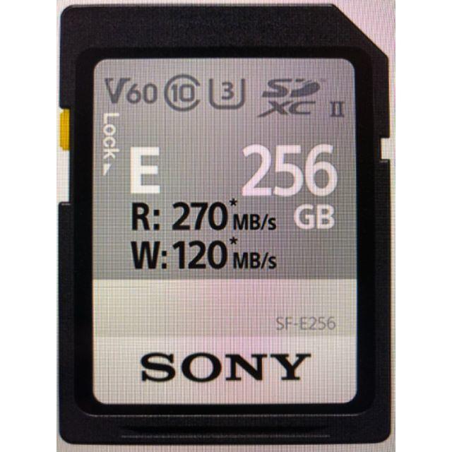 ■SONY(ソニー)　SF-E256 [256GB]