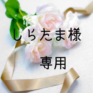 しらたま様専用　お米　令和元年　愛媛県産コシヒカリ　白米　30㎏ (米/穀物)