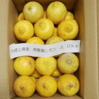 広島県大崎上島産無農薬レモン3.0kg(フルーツ)