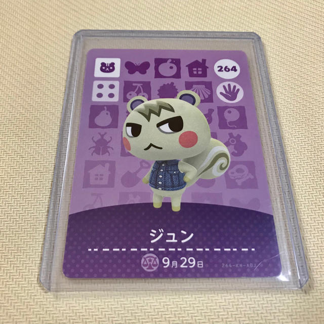 どうぶつの森 ジュン amiibo カード switch