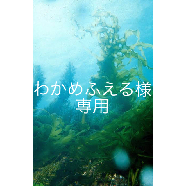 m0401A【本場泥染め5マルキ】大島紬アンサンブルと袋帯と帯締めのセット。