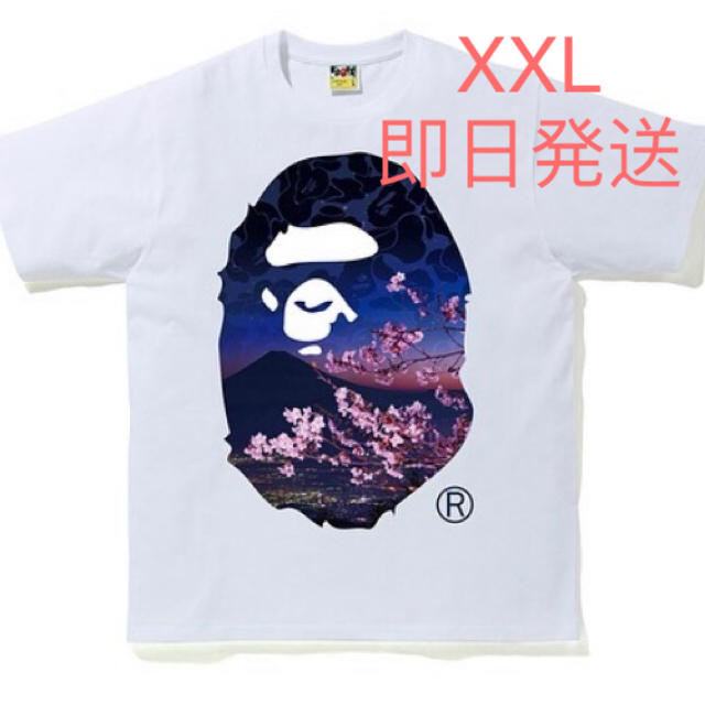 SAKURA PHOTO APE HEAD TEE