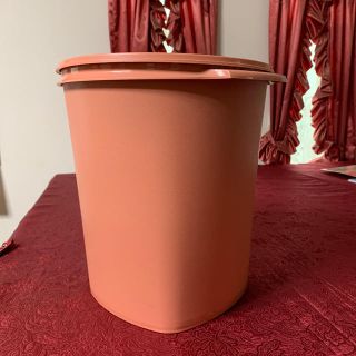 タッパーウェア　マキシクィーンデコレーター(容器)