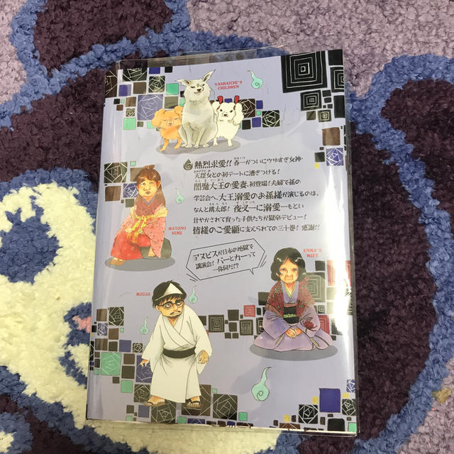 講談社(コウダンシャ)の鬼灯の冷徹　30巻限定盤　DVD無し エンタメ/ホビーの漫画(青年漫画)の商品写真