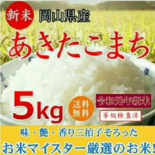 お米5kg(米/穀物)