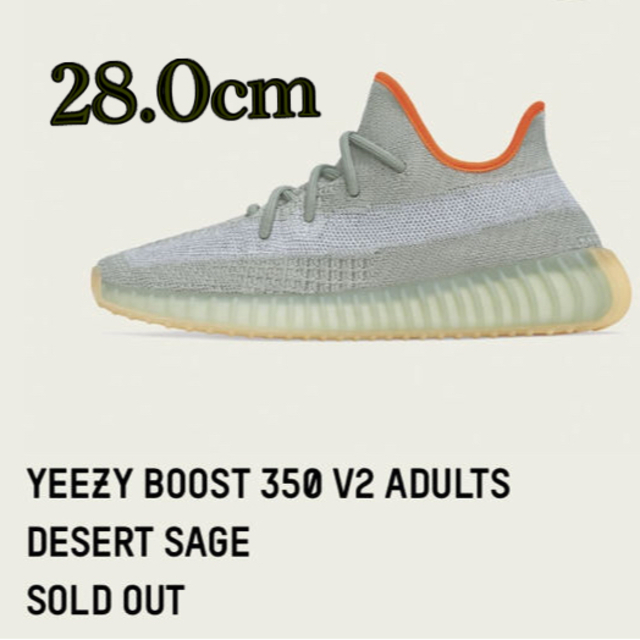 【28.0cm】YEEZY BOOST 350 V2 DESERT SAGE