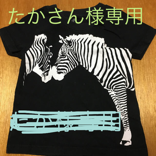 グラニフ(Design Tshirts Store graniph)のグラニフ　Tシャツ　100 しまうま柄(Tシャツ/カットソー)