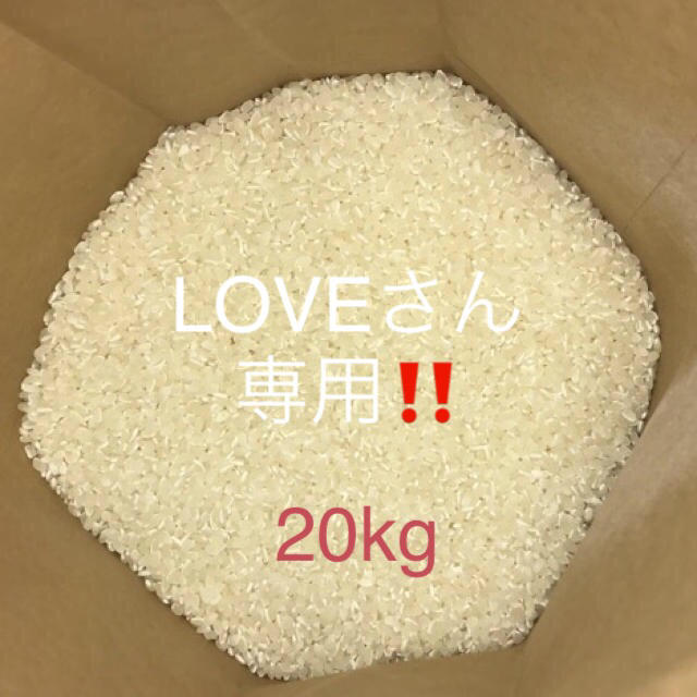 5kgLOVEさん　専用‼️ 三重県産コシヒカリ　20kg