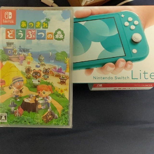 Nintendo Switch Lite