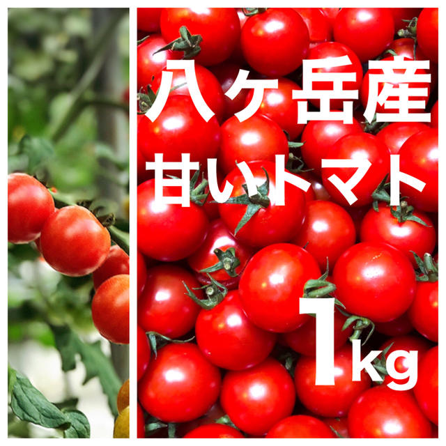 八ヶ岳(長野県) 産　ミニトマト 箱入　正味900g 味が濃い 食品/飲料/酒の食品(野菜)の商品写真