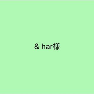 & har様　給食袋(外出用品)