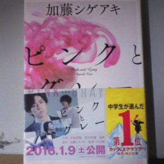 加藤シゲアキピンクとグレー(文学/小説)