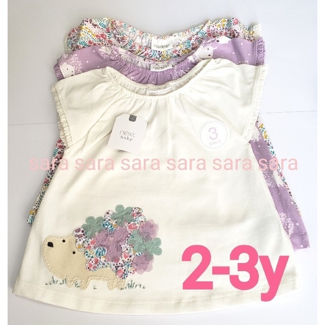 NEXT(ネクスト)の専用 キッズ/ベビー/マタニティのキッズ服女の子用(90cm~)(Tシャツ/カットソー)の商品写真