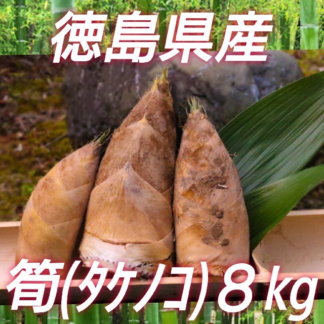徳島県産】筍(ﾀｹﾉｺ)８kg【最短4/2発送