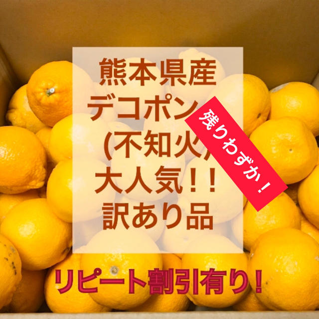 専用ページ熊本県産　デコポン　20k