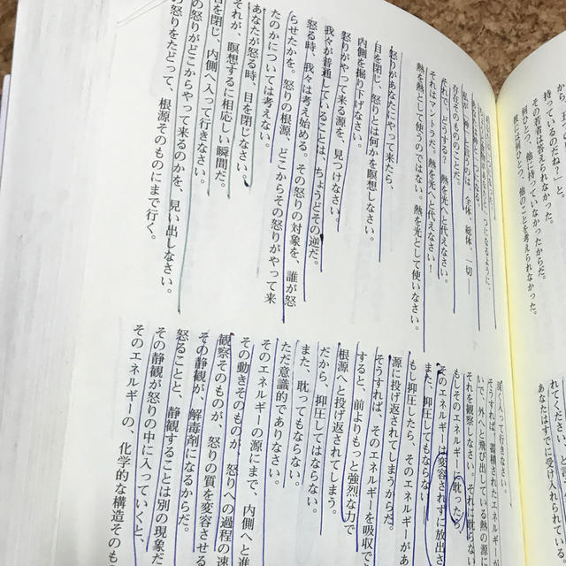 究極の錬金術 古代の奥義書ウパニシャッドを語る ２ エンタメ/ホビーの本(人文/社会)の商品写真