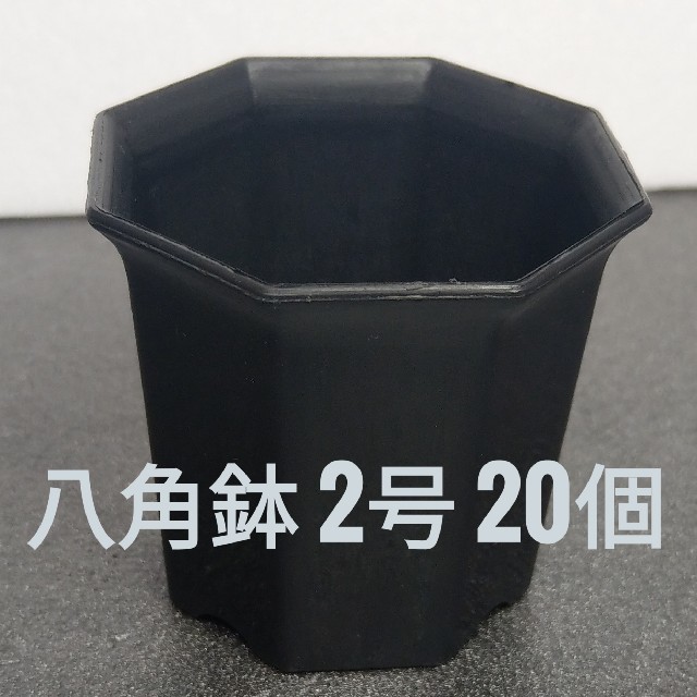 ◎20個◎ ブラック 2号 / 2寸 / 6cm 八角鉢 プラ鉢 ハンドメイドのフラワー/ガーデン(プランター)の商品写真