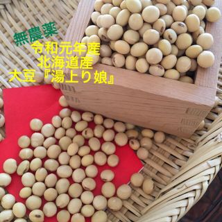 令和元年度産　北海道産　大豆「湯上り娘」500g(米/穀物)