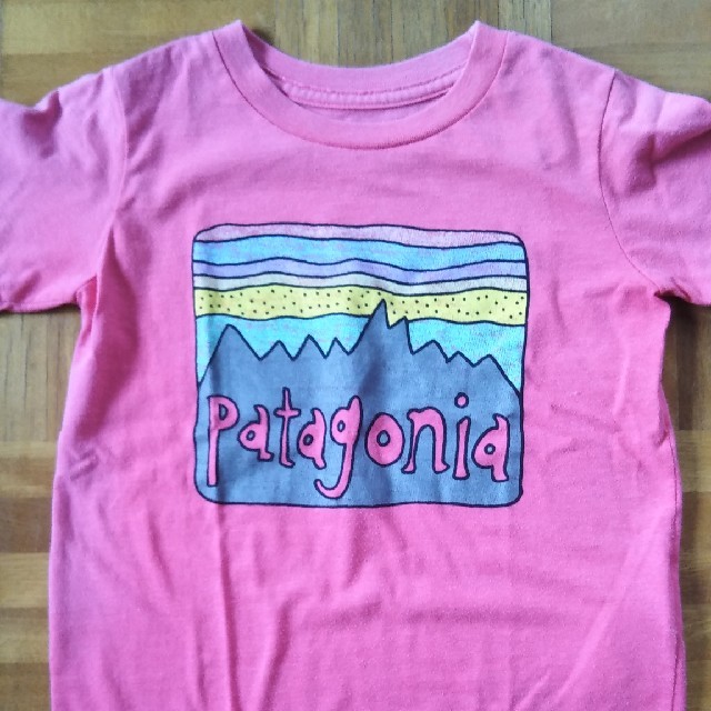 patagonia(パタゴニア)のパタゴニア キッズ5T キッズ/ベビー/マタニティのキッズ服女の子用(90cm~)(Tシャツ/カットソー)の商品写真