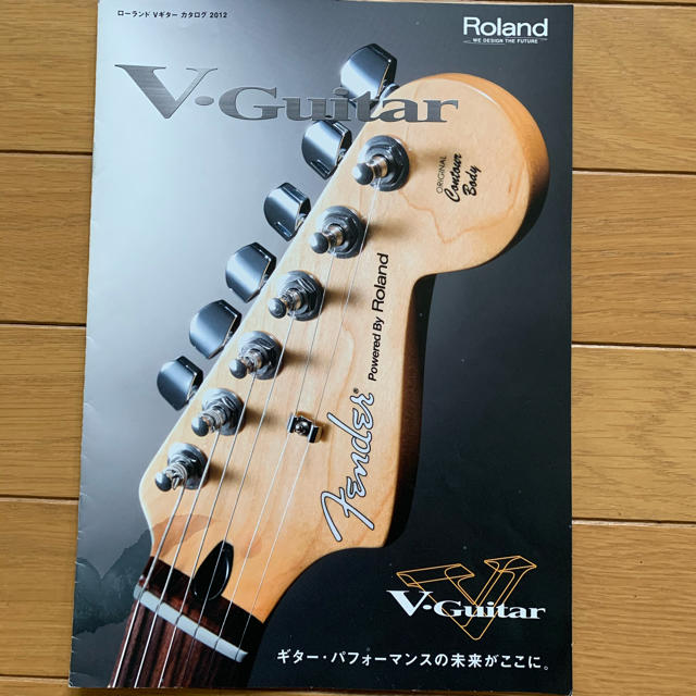 Roland VG Stratocaster G-5