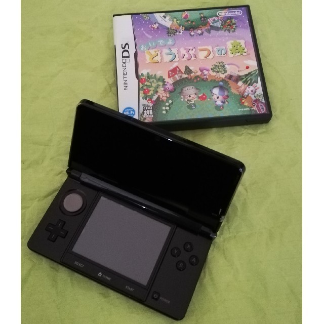 ニンテンドー3DS本体 ＆ どうぶつの森