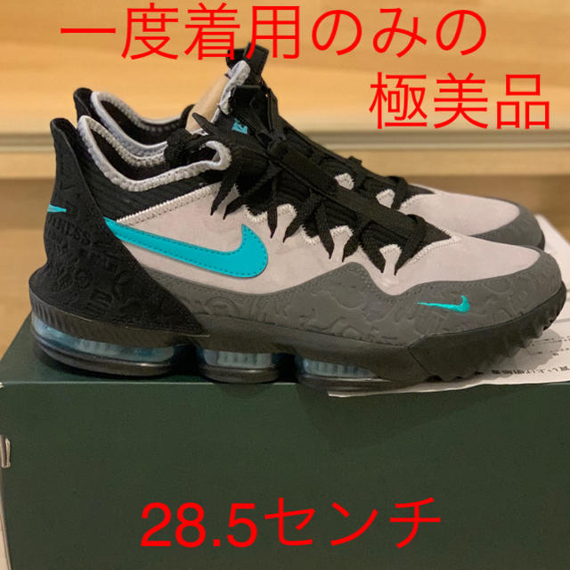 nike leblon 16 low jade 28.5センチ