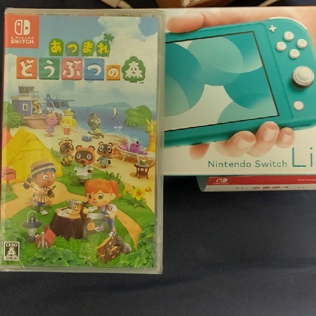 Nintendo Switch Lite