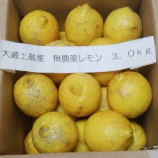 広島県大崎上島産無農薬レモン3.0kg(フルーツ)