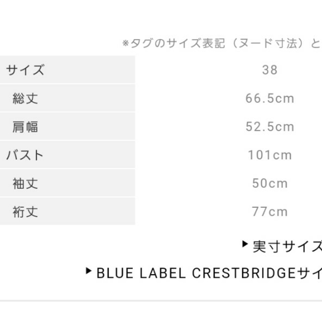 BLACK LABEL CRESTBRIDGE(ブラックレーベルクレストブリッジ)のまろん様専用☆新品タグ付ブルーレーベルクレストブリッジ　プリントプルオーバー レディースのトップス(チュニック)の商品写真