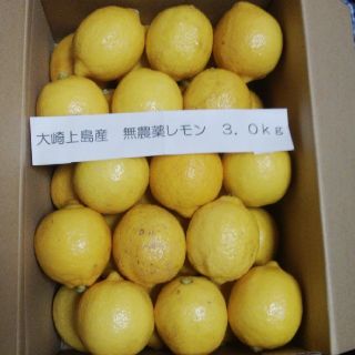 広島県大崎上島産無農薬レモン3.0kg(フルーツ)