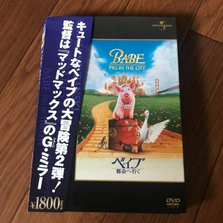 ベイブ　都会へ行く DVD(外国映画)