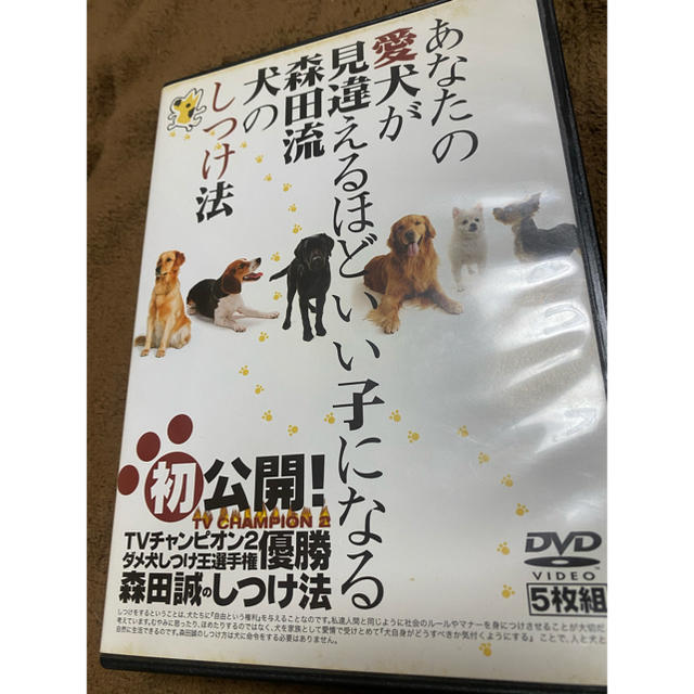 あなたの愛犬が見違えるほどいい子になる 森田流犬のしつけ法 その他のペット用品(犬)の商品写真